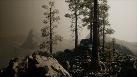 Bäume-Im-Nebel-In-Den-Bergen